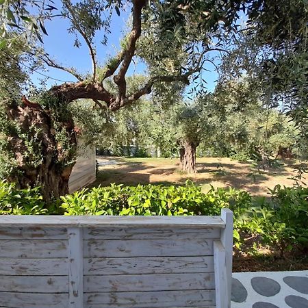 מלון סקאלה סוטירוס Orama Thassos מראה חיצוני תמונה