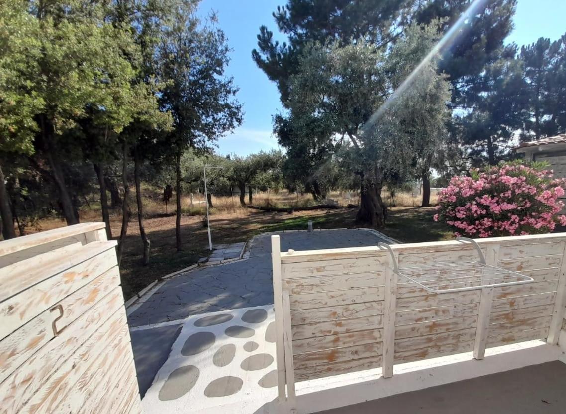מלון סקאלה סוטירוס Orama Thassos מראה חיצוני תמונה