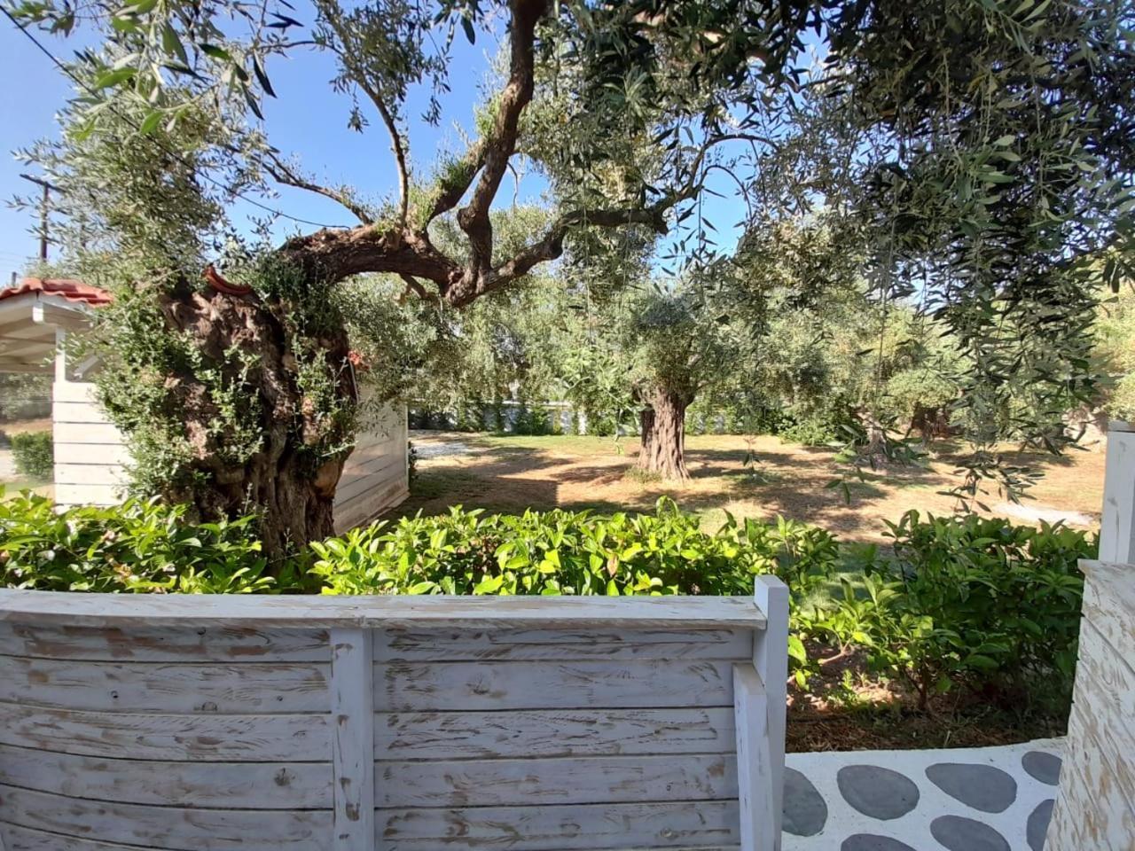 מלון סקאלה סוטירוס Orama Thassos מראה חיצוני תמונה