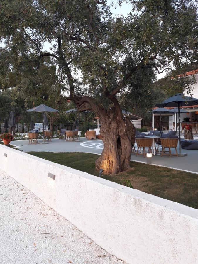 מלון סקאלה סוטירוס Orama Thassos מראה חיצוני תמונה